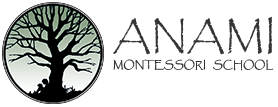 Anami Montessori School
